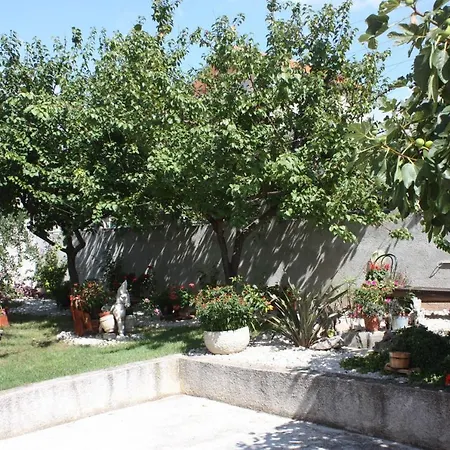 Small For A Great * Ζαντάρ